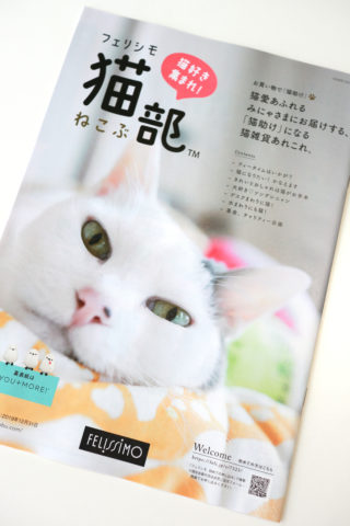 【フェリシモ】今月号のチラシで気になった商品。フェリシモ猫部って！？